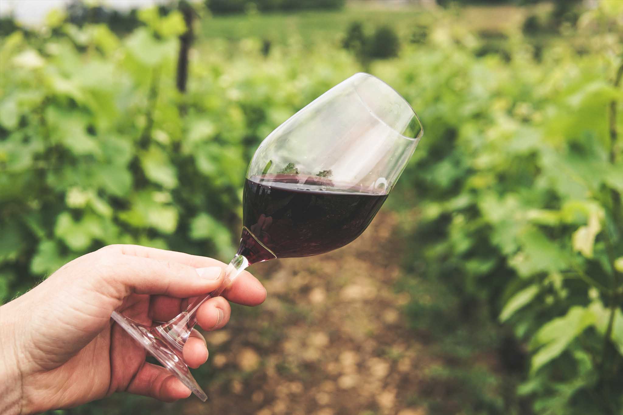 Route des Vins Vignobles Escapades Oenologie Travel Experts