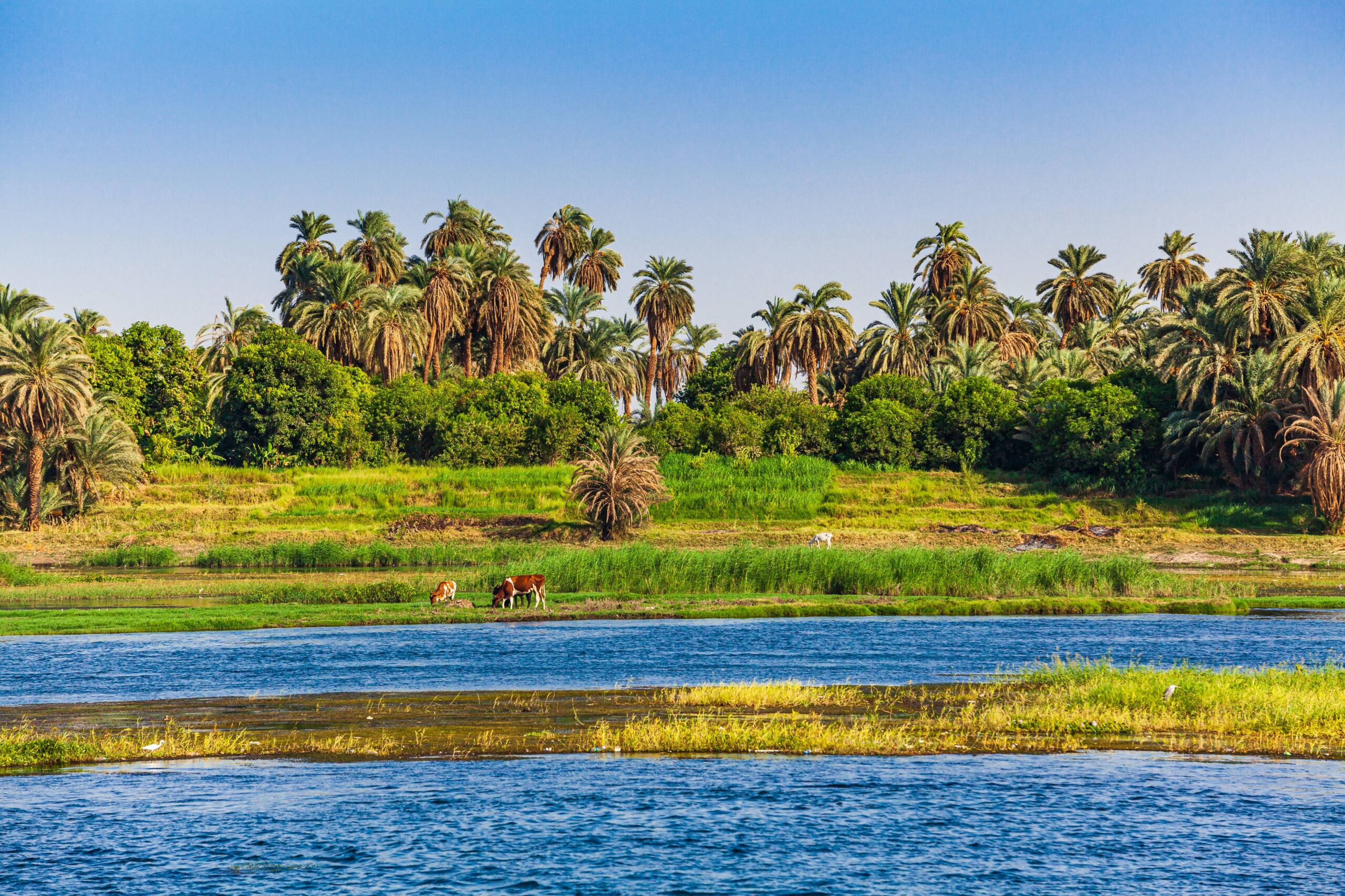 Vie quotidienne sur les rives du Nil en Égypte avec villages et bateaux.
