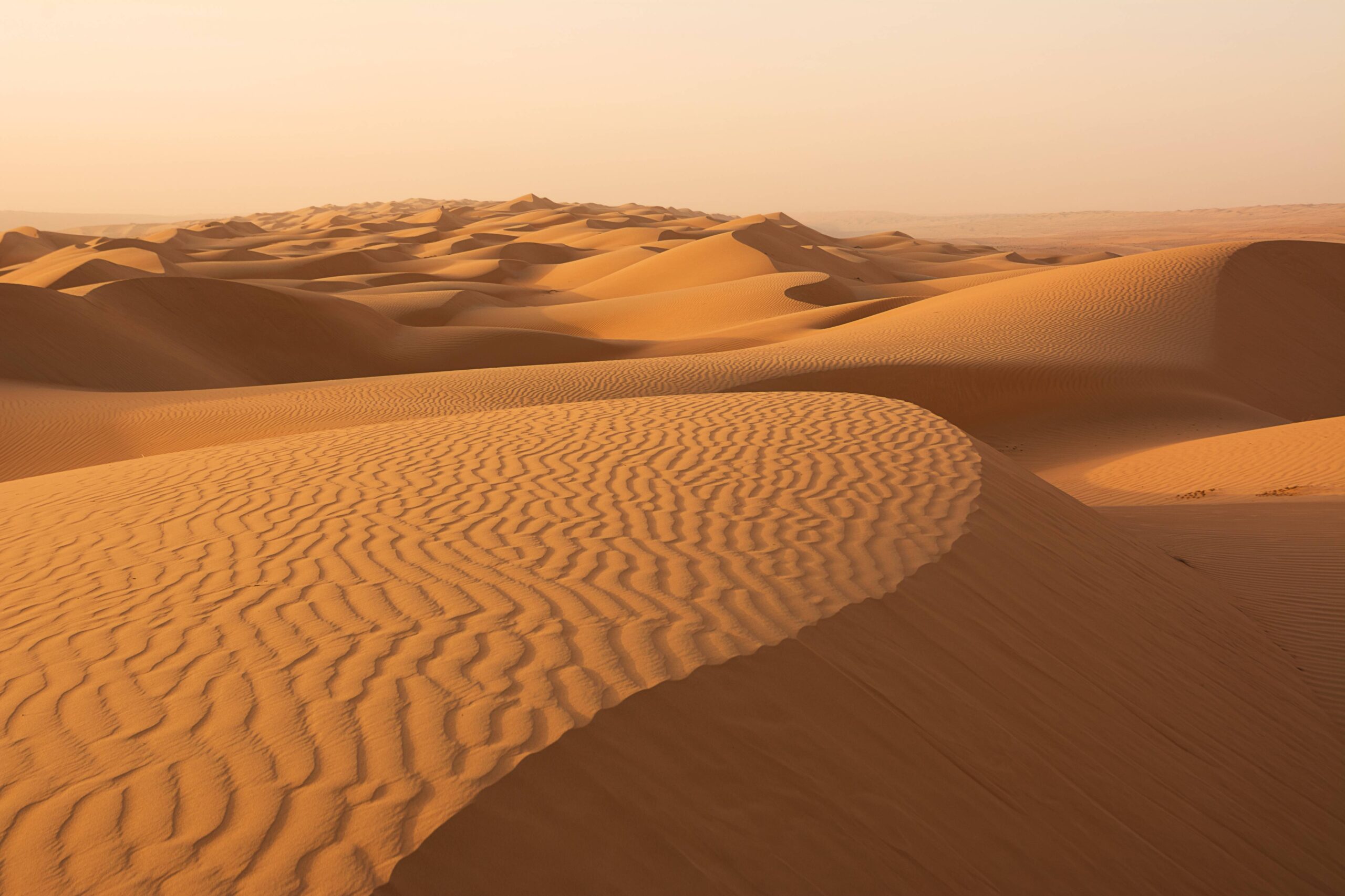Dunes du désert de Wahiba au lever du soleil en Oman
