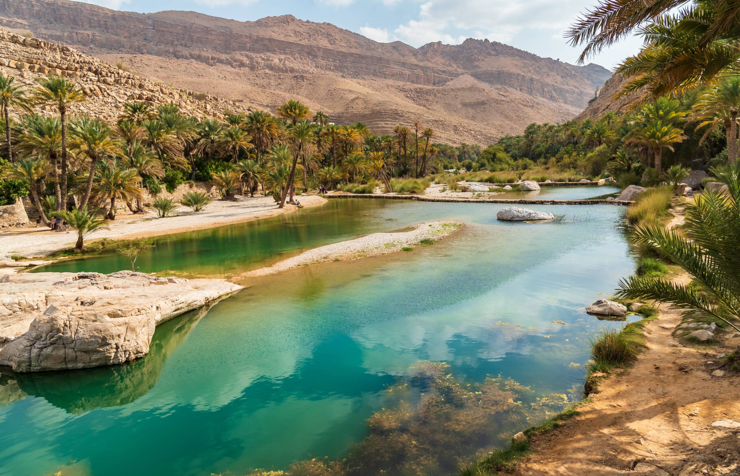 Oasis de Wadi Bani Khalid avec eau turquoise et palmiers en Oman